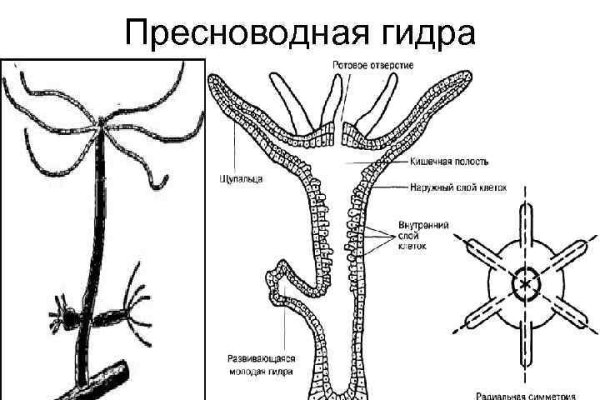 Кракен это современный даркнет маркетплейс