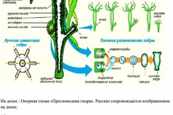 Кракен наркошоп ссылка