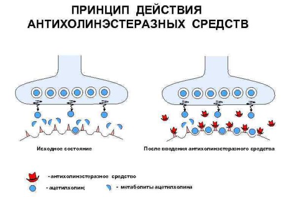 Доступ к сайту кракен